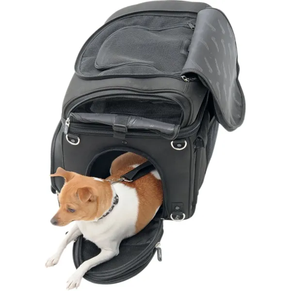 PET VOYAGER PC3200C