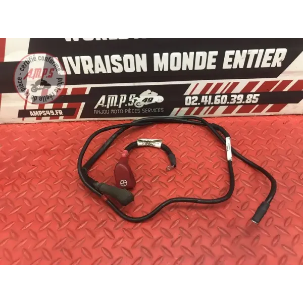 Cable de batterie Ducati 1200 Multistrada 2010 à 2012