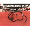 Cable de batterie Ducati 1200 Multistrada 2010 à 2012