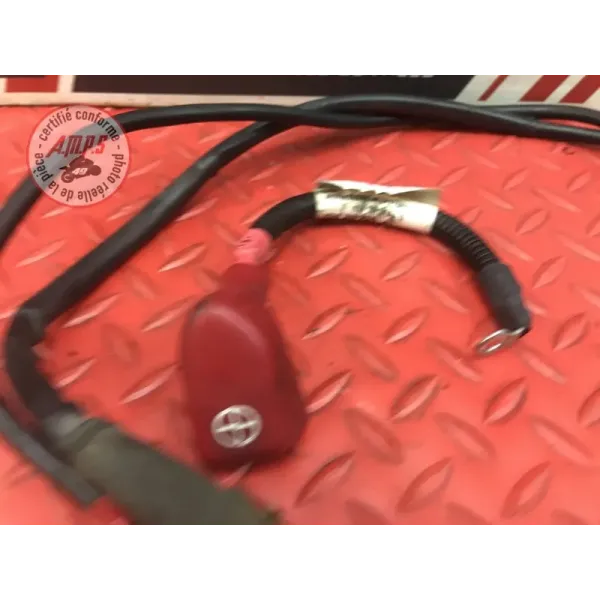 Cable de batterie Ducati 1200 Multistrada 2010 à 2012