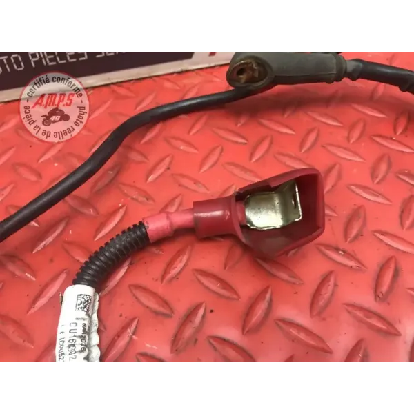 Cable de batterie Ducati 1200 Multistrada 2010 à 2012