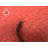 Cable de masse Ducati 1200 Multistrada 2010 à 2012