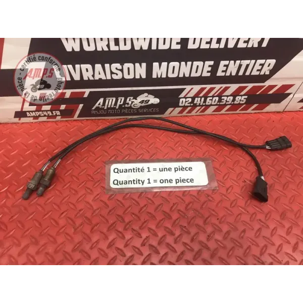 Sonde lambda Ducati 1200 Multistrada 2010 à 2012