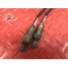 Sonde lambda Ducati 1200 Multistrada 2010 à 2012