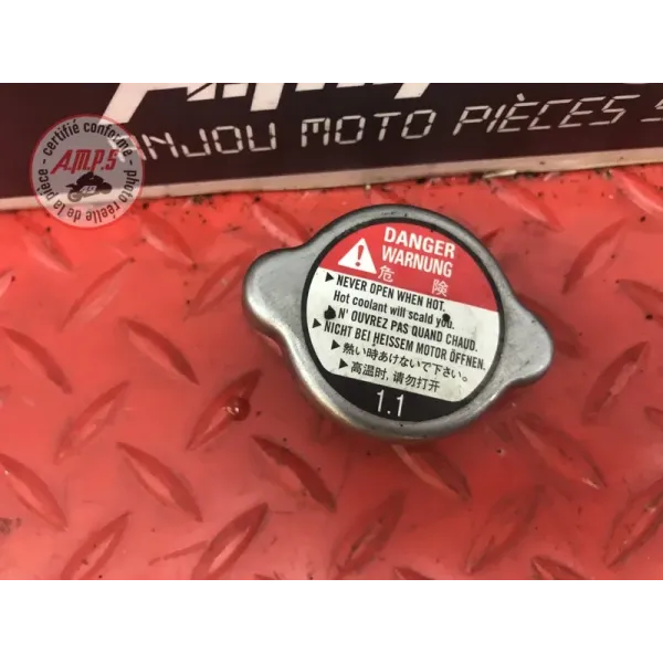 Bouchon de remplissage d'eau Ducati 1200 Multistrada 2010 à 2012