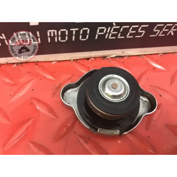 Bouchon de remplissage d'eau Ducati 1200 Multistrada 2010 à 2012