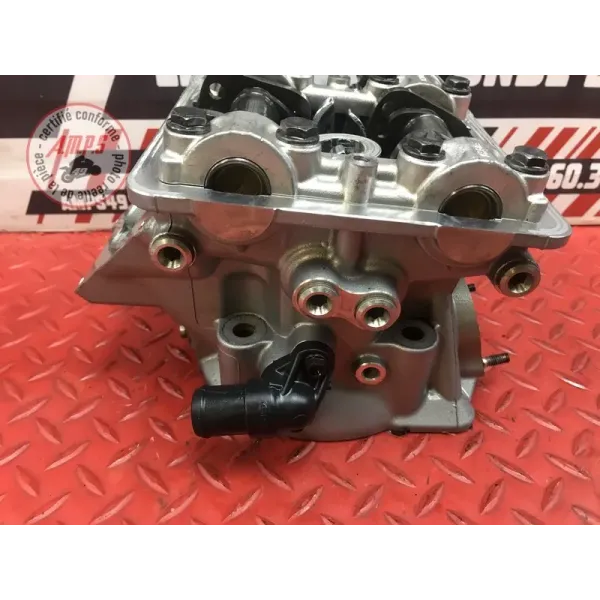 Culasse avec arbre a came arriere Ducati 1200 Multistrada 2010 à 2012