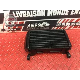 Radiateur d'huile Ducati 1200 Multistrada 2010 à 2012