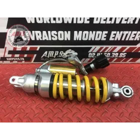 Amortisseur arrière 