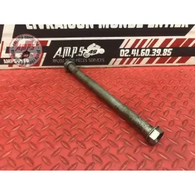 Axe de bras oscillant Ducati 1200 Multistrada 2010 à 2012