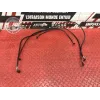 Kit de durite frein Ducati 1200 Multistrada 2010 à 2012