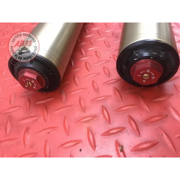 Paire de tube de fourche Ducati 1200 Multistrada 2010 à 2012