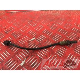 Sonde lambda Suzuki 1300 GSX-R Hayabusa 2007 à 2017GSXR130010AZ-692-RSB2-E4709346used