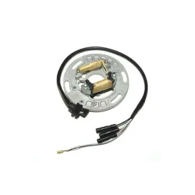 Stator ELECTROSPORT - Kawasaki