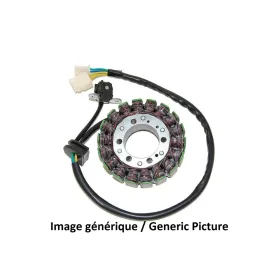 Stator ELECTROSPORT - Kawasaki ZX10R