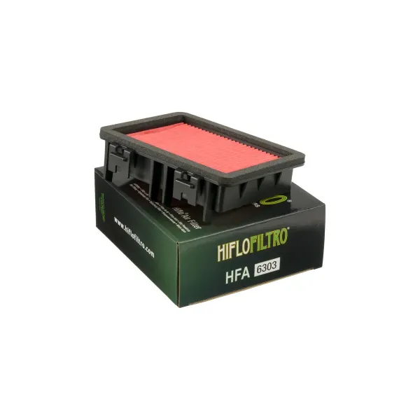  Filtre à air HIFLOFILTRO HFA6303 
