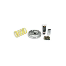Variateur MALOSSI Multivar 2000