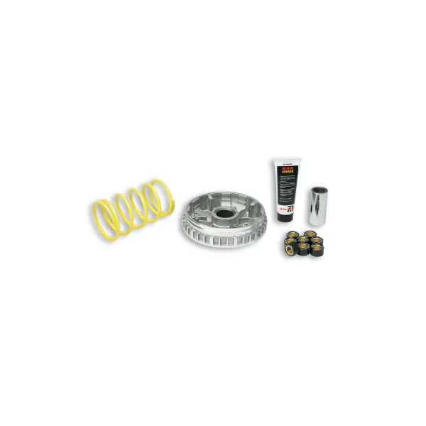 Variateur MALOSSI Multivar 2000