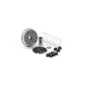 Variateur MALOSSI Multivar 2000 - Kymco