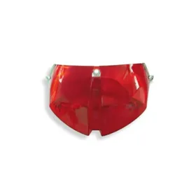 Tail Light LENS