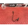 Antenne de neiman Ducati 1198 2009 à 2011