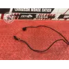 Capteur de vitesse Ducati 1198 2009 à 2011