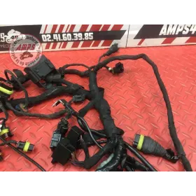 Faisceau électrique principale 