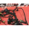 Faisceau électrique principale Ducati 1198 2009 à 2011