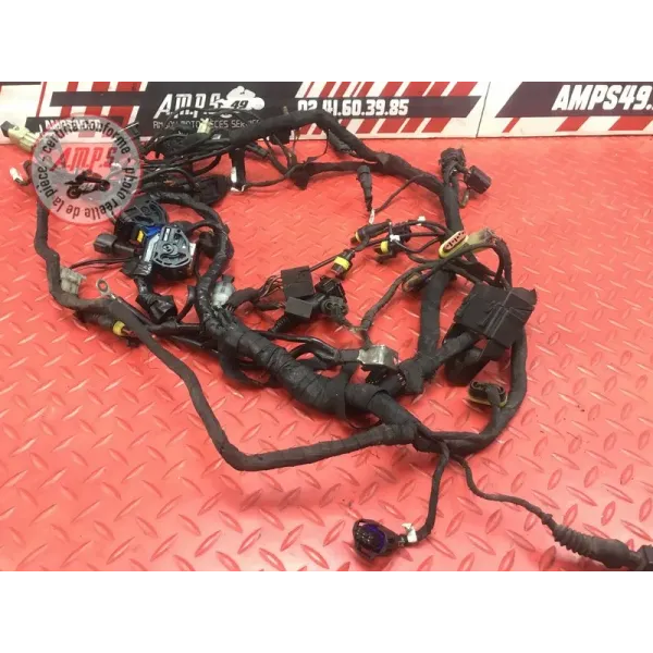 Faisceau électrique principale Ducati 1198 2009 à 2011