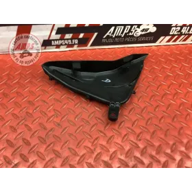 Ecope de radiateur droit 