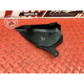 Ecope de radiateur gauche 