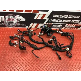 Faisceau électrique principale 