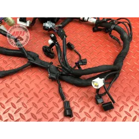 Faisceau électrique principale 