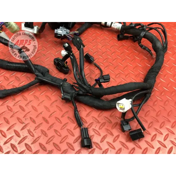 Faisceau électrique principale GASGAS SM 700 2022