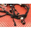 Faisceau électrique principale GASGAS SM 700 2022
