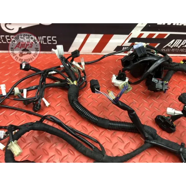 Faisceau électrique principale GASGAS SM 700 2022