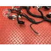Faisceau électrique principale GASGAS SM 700 2022