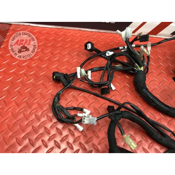 Faisceau électrique principale GASGAS SM 700 2022