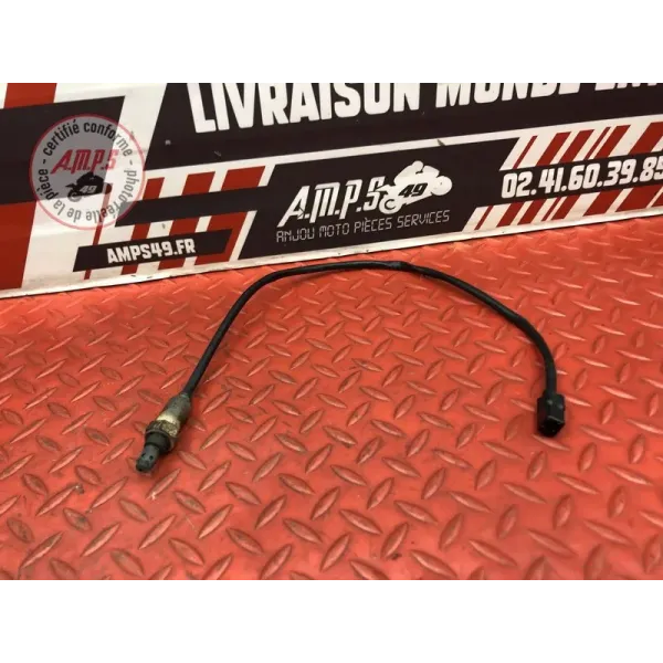 Sonde lambda GASGAS SM 700 2022