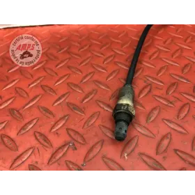 Sonde lambda GASGAS SM 700 2022