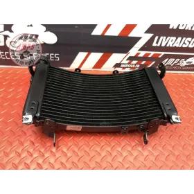 Radiateur d'eau GASGAS SM 700 2022
