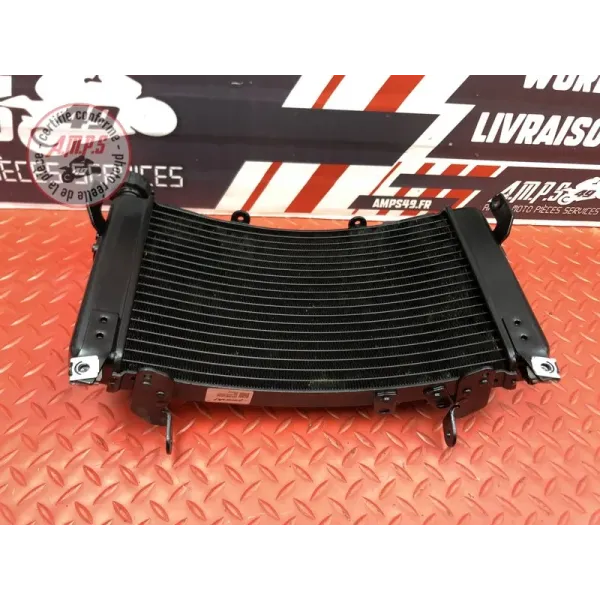 Radiateur d'eau GASGAS SM 700 2022