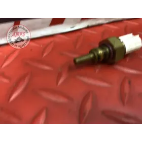 Sonde de température d'eau 