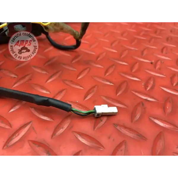 Support de plaque R&G complet GASGAS SM 700 2022