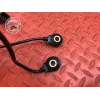 Sondes cliquetis Ducati Panigale V4 S 2018 2019