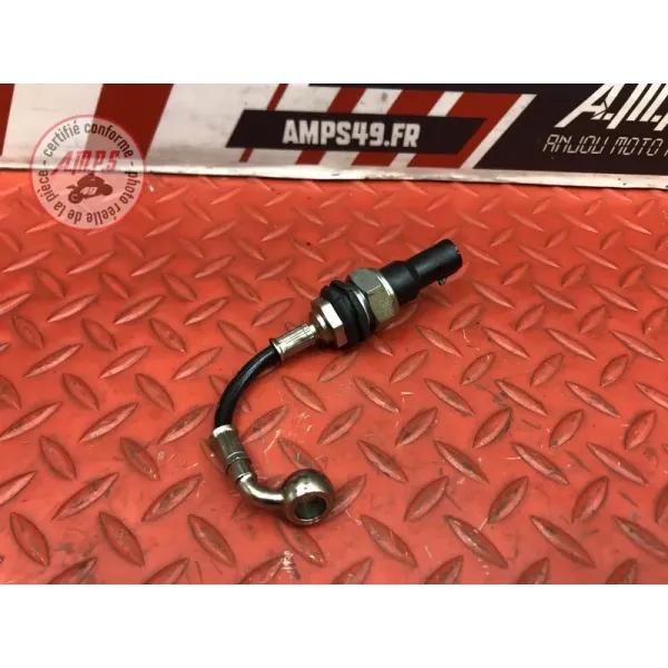 Sonde de pression d'huile Ducati Panigale V4 S 2018 2019