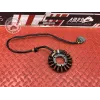 Stator alternateur Ducati Panigale V4 S 2018 2019