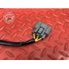 Stator alternateur Ducati Panigale V4 S 2018 2019