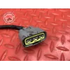 Stator alternateur Ducati Panigale V4 S 2018 2019