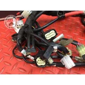 Faisceau électrique principale 